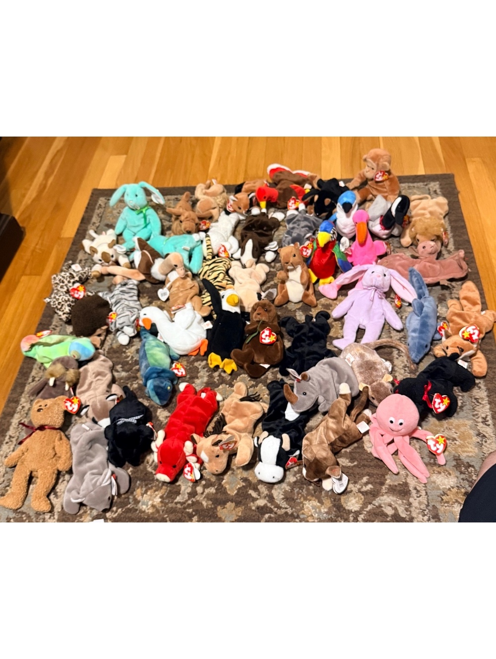 47 TY Beanie Babies Lot Retired Vintage Plush Hippity Iggy Derby & More